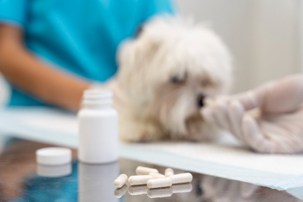 Pet medications